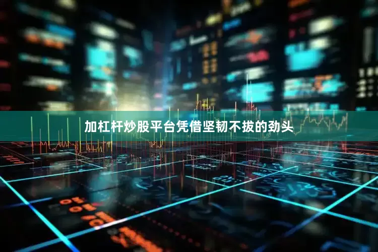 加杠杆炒股平台　　凭借坚韧不拔的劲头